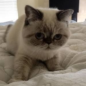 Meet your Posher, Jamie